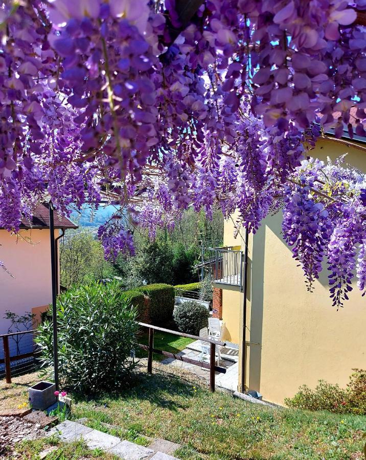 Casa Vacanza Il Glicine Casale Corte Cerro Exterior photo